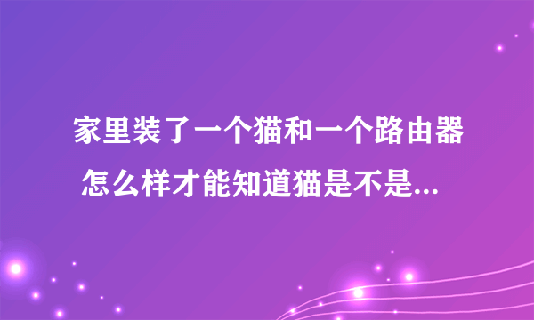 家里装了一个猫和一个路由器 怎么样才能知道猫是不是带路由器的功能？