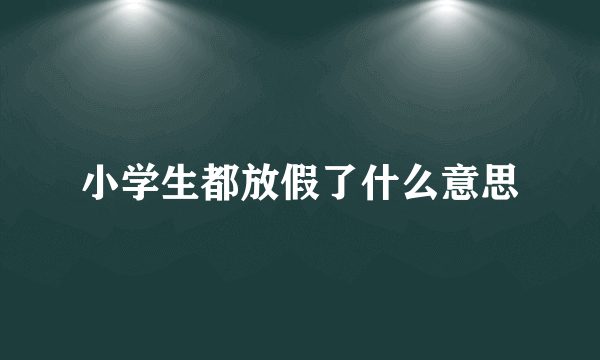 小学生都放假了什么意思