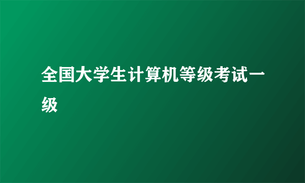 全国大学生计算机等级考试一级