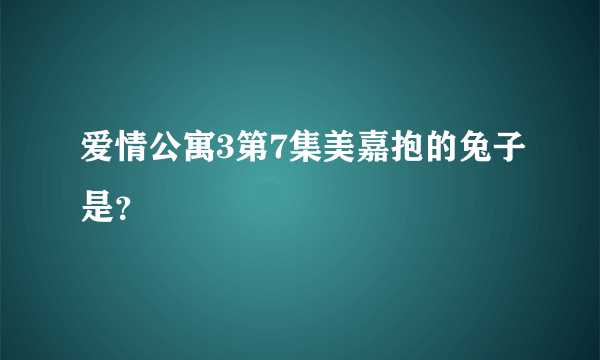 爱情公寓3第7集美嘉抱的兔子是？