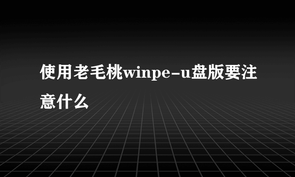 使用老毛桃winpe-u盘版要注意什么