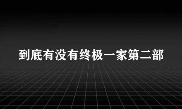 到底有没有终极一家第二部