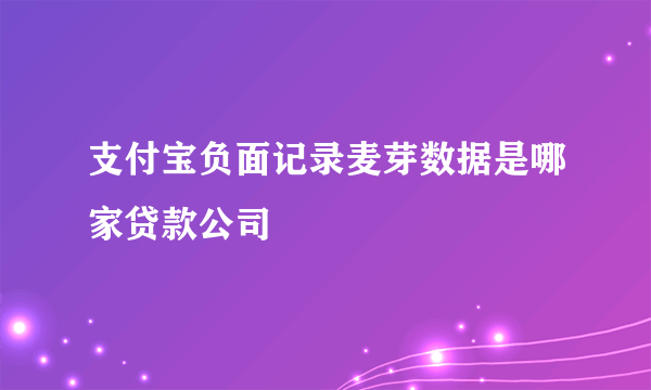 支付宝负面记录麦芽数据是哪家贷款公司