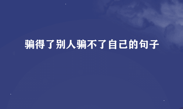 骗得了别人骗不了自己的句子