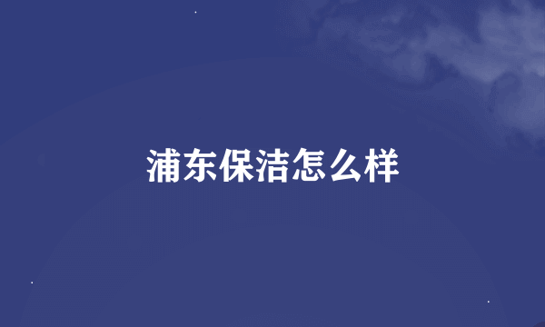 浦东保洁怎么样