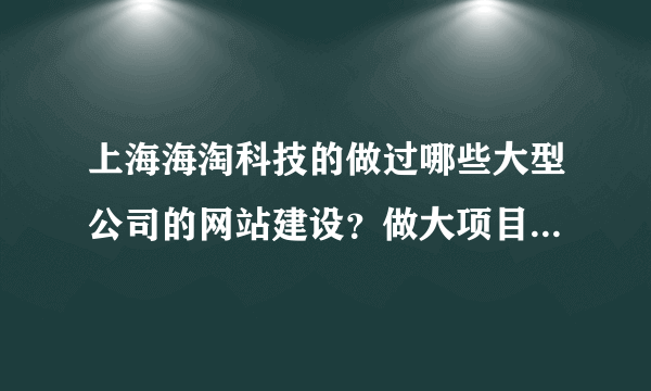 上海海淘科技的做过哪些大型公司的网站建设？做大项目的经验多吗？