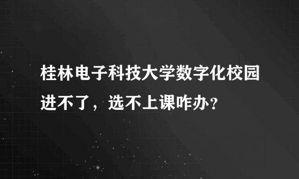 桂林电子科技大学数字化校园进不了，选不上课咋办？