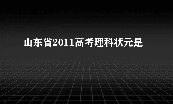 山东省2011高考理科状元是