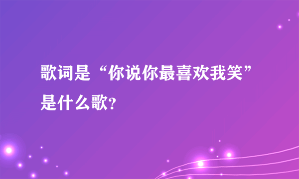 歌词是“你说你最喜欢我笑”是什么歌？