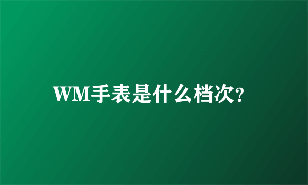 WM手表是什么档次？