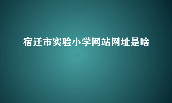 宿迁市实验小学网站网址是啥