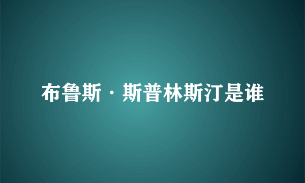 布鲁斯·斯普林斯汀是谁