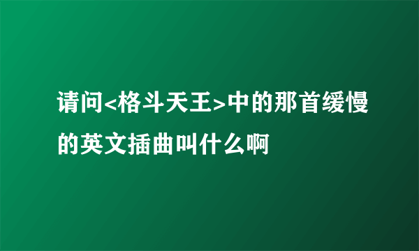 请问<格斗天王>中的那首缓慢的英文插曲叫什么啊