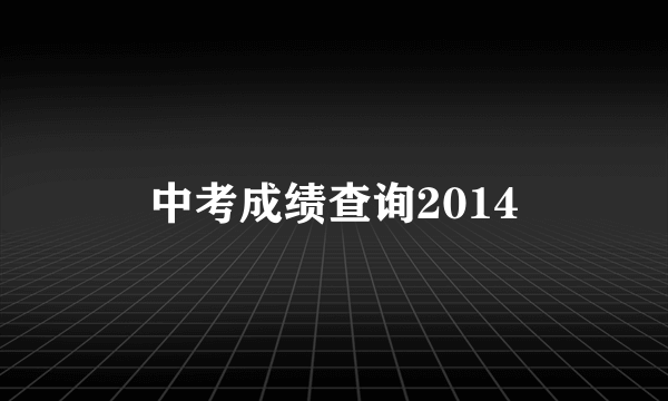 中考成绩查询2014