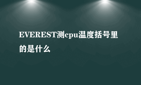 EVEREST测cpu温度括号里的是什么