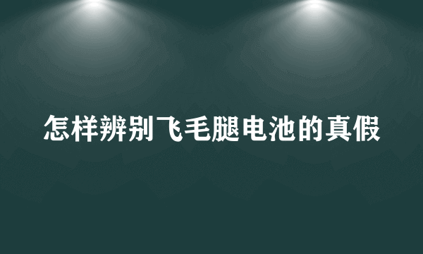 怎样辨别飞毛腿电池的真假