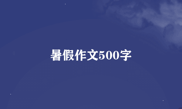 暑假作文500字