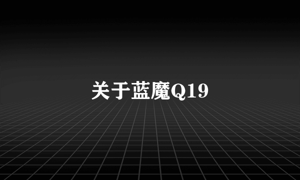 关于蓝魔Q19