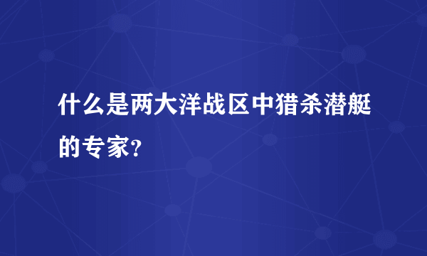 什么是两大洋战区中猎杀潜艇的专家？