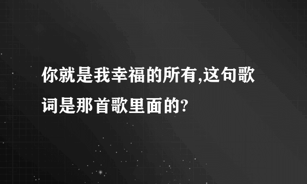 你就是我幸福的所有,这句歌词是那首歌里面的?