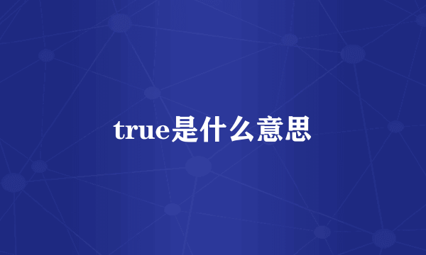 true是什么意思