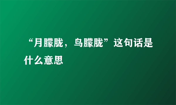 “月朦胧，鸟朦胧”这句话是什么意思