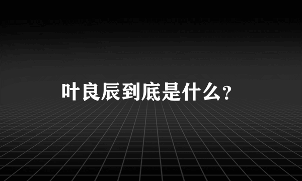 叶良辰到底是什么？