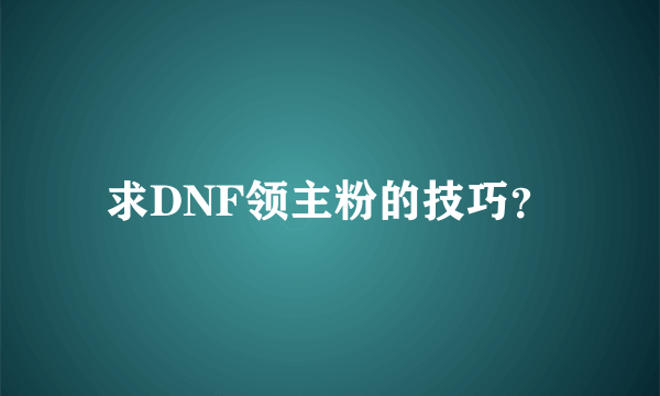 求DNF领主粉的技巧？