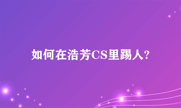 如何在浩芳CS里踢人?