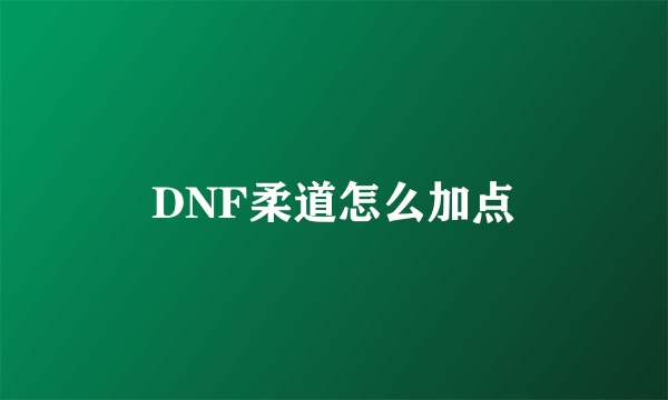 DNF柔道怎么加点