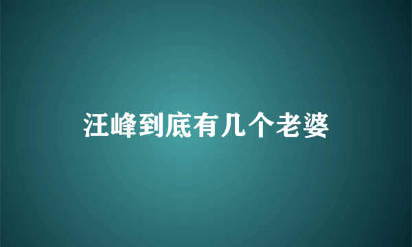 汪峰到底有几个老婆