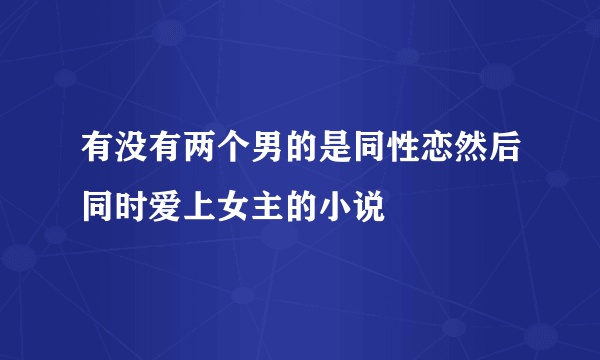 有没有两个男的是同性恋然后同时爱上女主的小说