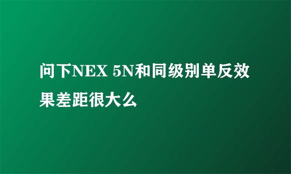 问下NEX 5N和同级别单反效果差距很大么