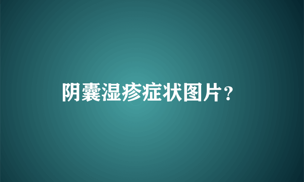 阴囊湿疹症状图片？