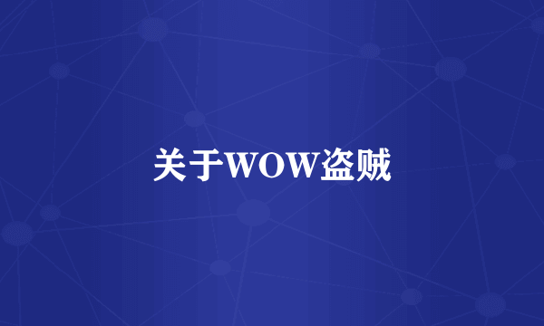 关于WOW盗贼