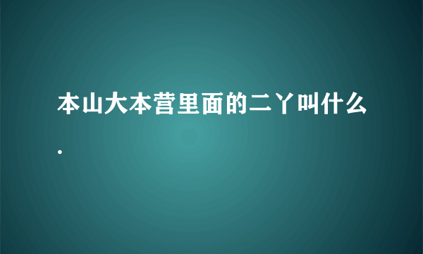 本山大本营里面的二丫叫什么.