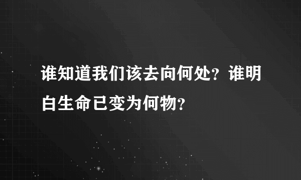 谁知道我们该去向何处？谁明白生命已变为何物？