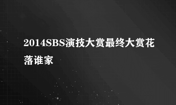 2014SBS演技大赏最终大赏花落谁家