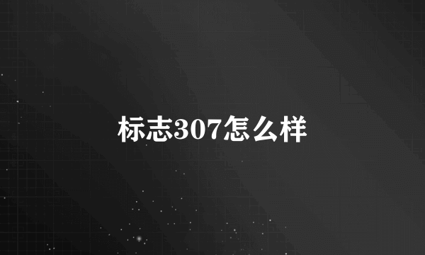 标志307怎么样