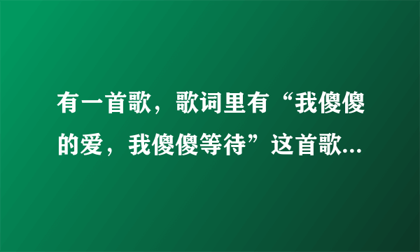 有一首歌，歌词里有“我傻傻的爱，我傻傻等待”这首歌的名字是什么？