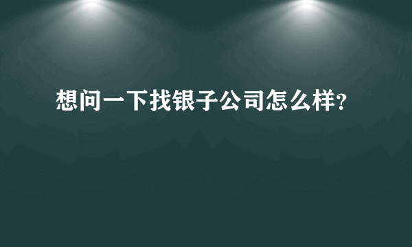 想问一下找银子公司怎么样？