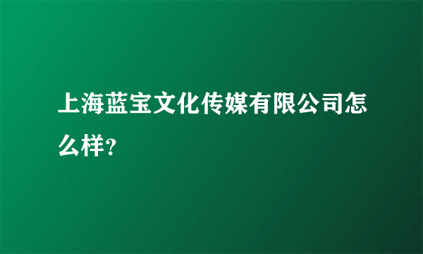 上海蓝宝文化传媒有限公司怎么样？