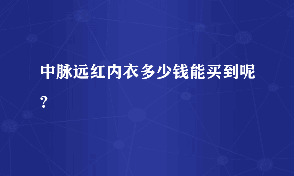 中脉远红内衣多少钱能买到呢？