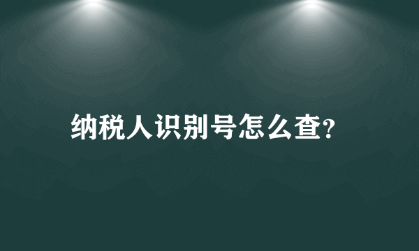 纳税人识别号怎么查？