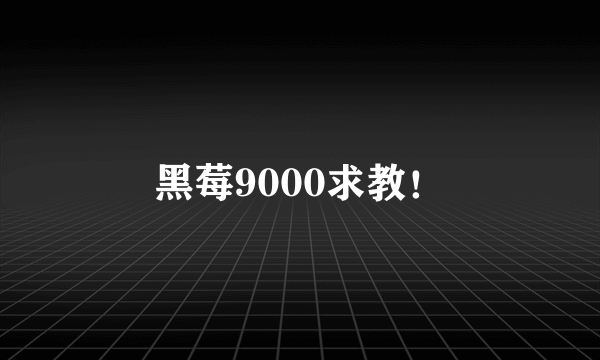 黑莓9000求教！