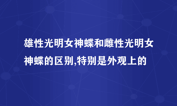 雄性光明女神蝶和雌性光明女神蝶的区别,特别是外观上的