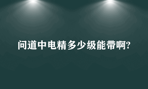 问道中电精多少级能带啊?