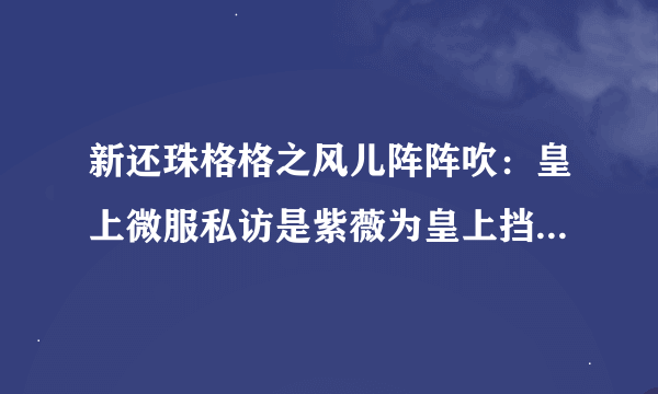 新还珠格格之风儿阵阵吹：皇上微服私访是紫薇为皇上挡刀，是第几集？