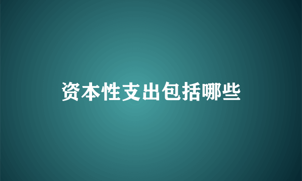 资本性支出包括哪些