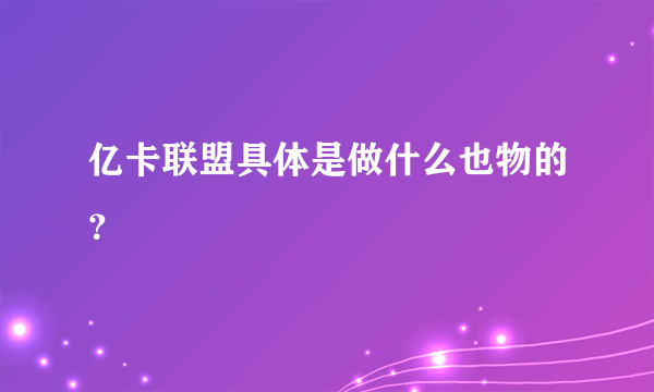 亿卡联盟具体是做什么也物的？